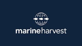 What it's like to work at Marine Harvest, Rosyth