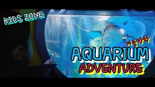 8k 겨울방학 특집 20탄 물고기 밥주로 아쿠아리움으로 탐험 떠나보기. 롯데월드몰 AQUARIUM ADVENTURE 출발!!