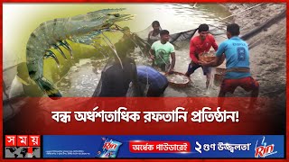 কেন ঘুরে দাঁড়াতে পারছে না খুলনার চিংড়ি খাত? | Shrimp | Export Company | Khulna | Modern Technology