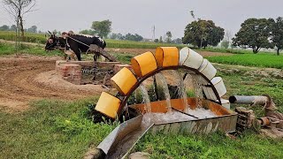 Persian Wheel Method of Irrigation | Old Water Wheel Irrigation System