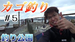 水深30mを攻略できるのか!?メガフロートに挑戦【カゴ釣り】