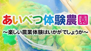 あいべつ体験農園の様子を大紹介！