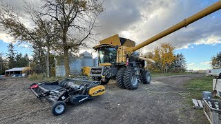 Drying wheat🌾Fixin swathers, cleaning combines🚜