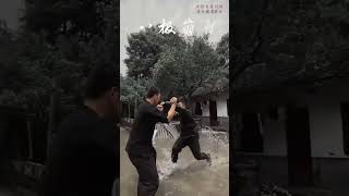 八極拳 Bajiquan #kungfu #baji #功夫 #八極拳