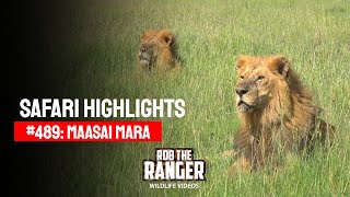 Safari Highlights #489: 28th March 2018 | Maasai Mara/Zebra Plains | Latest #Wildlife Sightings