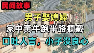 民間故事：男子娶媳婦，家中黃牛跑半路攔截口吐人言，小子沒良心