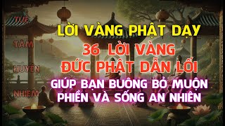 36 Lời Dạy Của Đức Phật Giúp Bạn Chuyển Hóa Cuộc Đời An Lạc