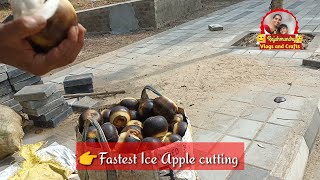 తాటిపండు ఎలా తీయాలి|Thati pandu recipe in telugu|Toddy palmfruit recipe|Asian Palmyra palm|Ice Apple