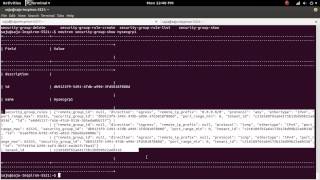 OpenStack Neutron CLI add security group rules SSH and ICMP