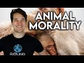 If We Are Animals, Where Is Morality?