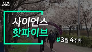 [사이언스 핫파이브] 코로나19로 봄맞이 주춤…3월 넷째 주 과학 이슈 / YTN 사이언스