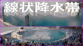 鴨川シーワールド２０２１　シャチパフォーマンス９７３　線状降水帯が発生したオーシャンスタジアムをゴープロで撮ってみた