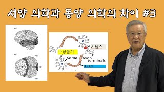 신경망과 시냅스의 발견으로 인한 뇌 과학의 발전 #3 | 김상일 교수 | 국학원 국민강좌 218회