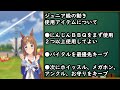 【ウマ娘】無課金向け！グラスワンダーssランク育成論！新シナリオのインフレがやばい！根性賢さ育成【ウマ娘プリティダービー】