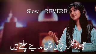 Chor Fikr Duniya Ki | Slowed Reverb | Best naat | islamic | Nawal Khan