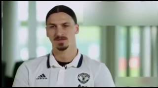 Zlatan Ibrahimovic ''Lions don't compare themselves with humans''