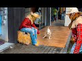 PEGADINHA - ESPANTALHO - Scarecrow Prank