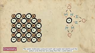 How does water dissolves salt?