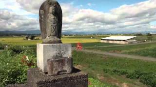 津屋川の彼岸花Y