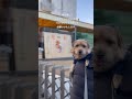 【2025年お正月🎍】 shorts norfolkterrier dog 吉 kichi 迎春 お正月