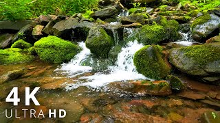 Water Sounds with Relaxing Music 4K 60 FPS - Sleep, Meditation, Study, Relax