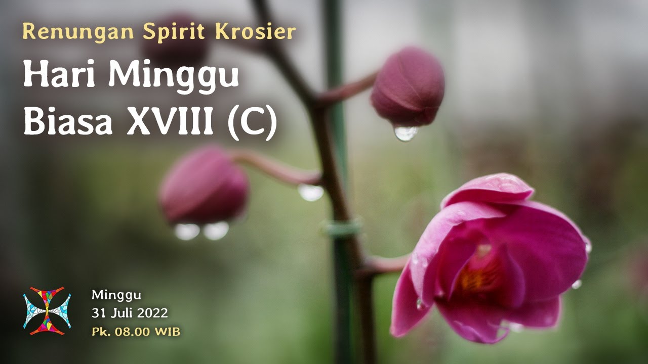 Renungan: Hari Minggu Biasa XVIII, Minggu, 31 Juli 2022, Pk. 08.00 WIB ...