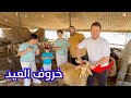 بدأنا فعاليات عيد الأضحى | وين راح خروف العيد ؟ 🐏