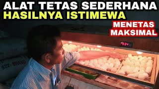 TIPS MENETASKAN TELUR AYAM DGN CARA SEDERHANA