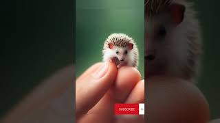 Adorable little hedgehog perched on human fingers  part 115 #shorts #edits #ai #miniature #tiny