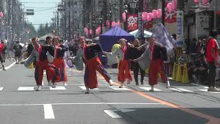 第30回ひたちなか祭り　　　よさこい飛翔