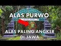 Misteri Alas Purwo Banyuwangi, Hutan Paling Angker di Jawa