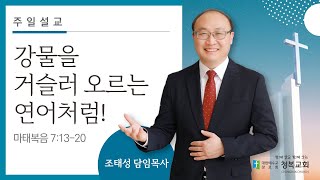 [청복교회] 2023.12.03 주일설교 l 강물을 거슬러 오르는 연어처럼! (마태복음 7:13-20) l 조태성 목사 💌