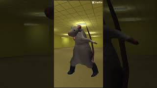 La danse du rat 🐀 🤣