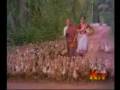 Download Poove Poochodava - Very Rare in Tamil Cinema In Mp4 3Gp Full HD Video