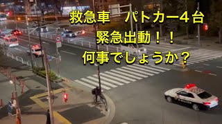 救急車　パトカー　パトカー4台　同時緊急出動！！！緊急走行！！第8方面からもかけつける！！#警察 #警察24時 #警察官 #新宿 #緊急出動 #緊急走行 #police #警視庁