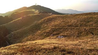 生石高原のススキ