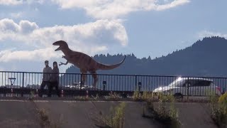 【コキア畑と道の駅「恐竜渓谷かつやま」】（福井県）