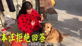 農村媽媽剪頭髮，問金毛狗狗好看嗎？狗狗反應讓人笑噴【農村小慧】