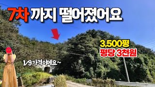 7차까지 떨어졌어요~삼척 평전동 임야 3500평입니다~