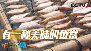 馋哭了！台州冬日限定美食 你吃了吗？20230722 神奇的海域7·鱼鲞人家（上）|《地理·中国》CCTV科教