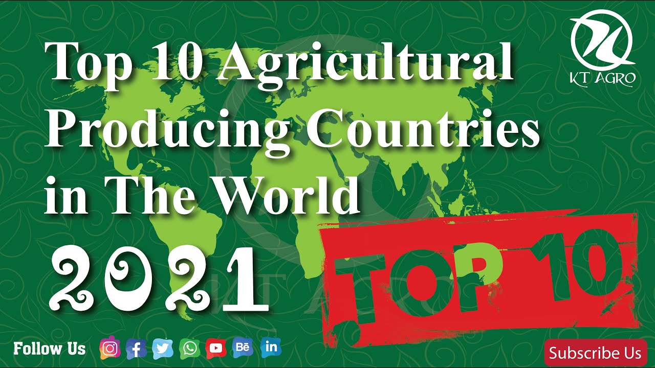 Top 10 Agricultural Producing Countries In The World - YouTube