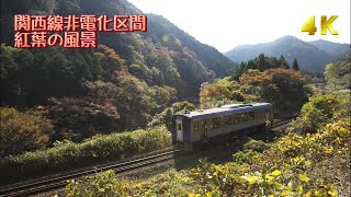 【4K60P】関西線の秋 紅葉を行く列車