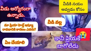 మా ప్రియా ఆరోగ్యంగా లేదు కారణం ఎవరు? #trending #viralvideo #live #shorts #funny#dog #pets#fyp#fun#yt