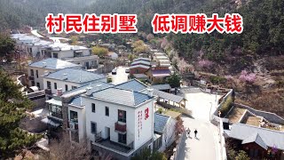 小村庄因为一块奇石而受益，家家住进小洋楼，村民靠什么赚大钱