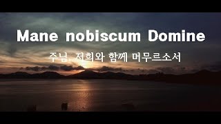 [#풀잎 수녀 노래기도], #Mane nobiscum Domine, #Sr.연희마리아, #김연희마리아 수녀, #평화계곡, #아침묵상, #노래기도,