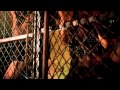 Daddy Yankee VEN CONMIGO por DaddyYankeeVEVO Video