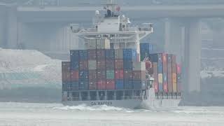 Container Ship 《CA NAGOYA》Crossing Tsing Ma Bridge 20241215