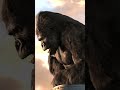 kong s final stand king kong 4k shorts