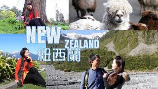 【new zealand trip紐西蘭旅遊】10日紐西蘭北島南島