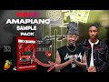 [FREE] Amapiano Sample Pack 2025 | Nandipha 808🦅🔊🔥 | 